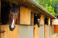 free Lochans stable construction quotes